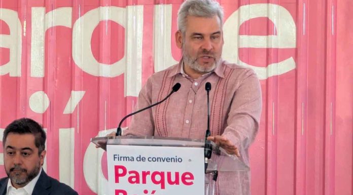 En análisis declaración de Polo de Desarrollo Lázaro Cárdenas-La Unión: Alfredo Ramírez Bedolla