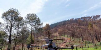 Así es la innovadora técnica de reforestación con drones para recuperar bosques michoacanos: Secma