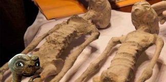 “E.T.”, los OVNIs… ¿y las momias de Nazca?