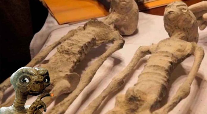“E.T.”, los OVNIs… ¿y las momias de Nazca?