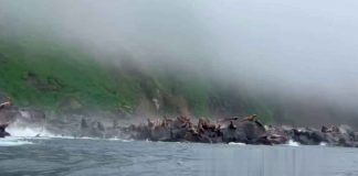 Playas michoacanas aptas para vacacionar: COEPRIS