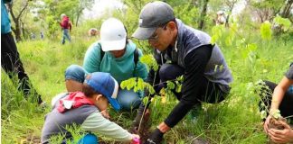 ¡Vamos a reforestar! Únete a la campaña para plantar 10 millones de árboles: Secma