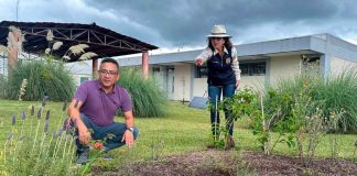 UMSNH pone en marcha proyecto de “Jardín para polinizadores”, busca abonar en el cuidado del medio ambiente