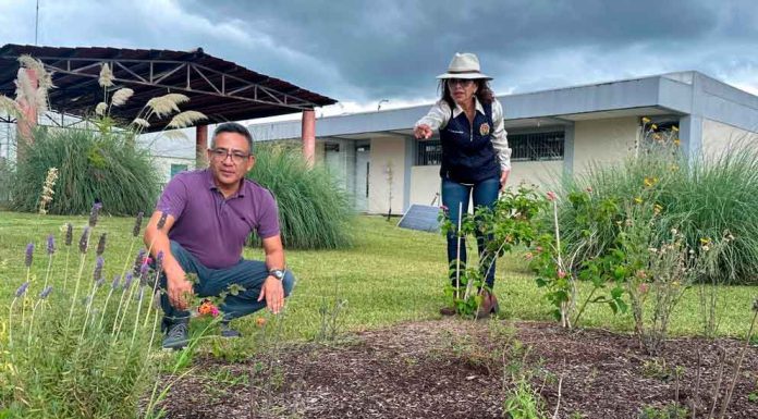 UMSNH pone en marcha proyecto de “Jardín para polinizadores”, busca abonar en el cuidado del medio ambiente