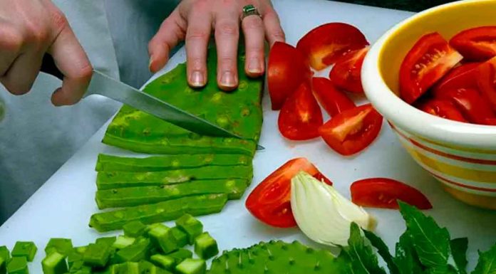 El nopal, muy mexicano, rico y nutritivo; Profeco informa sus precios mínimos y máximos