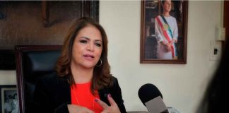 Sólo 1 de cada 10 delitos se investiga en Michoacán: Fabiola Alanís