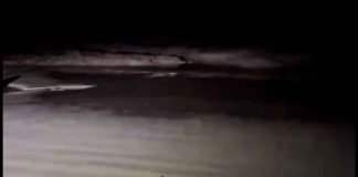 #VIDEO || “¡Está sequísimo!”: El mar desaparece en Galápagos tras terremoto de 8.8 en Kamchatka 🌊⚠️