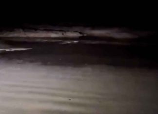 #VIDEO || “¡Está sequísimo!”: El mar desaparece en Galápagos tras terremoto de 8.8 en Kamchatka 🌊⚠️