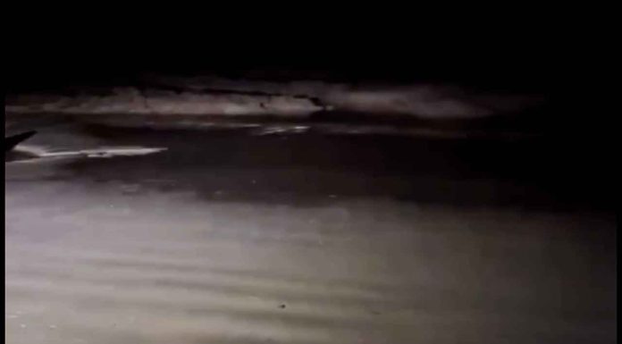 #VIDEO || “¡Está sequísimo!”: El mar desaparece en Galápagos tras terremoto de 8.8 en Kamchatka 🌊⚠️