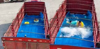 #VIDEO || Papá construye una alberca de olas móvil en un camión y se vuelve viral por su ingenio