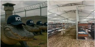 Alligator Alcatraz la cárcel entre caimanes que indigna al mundo