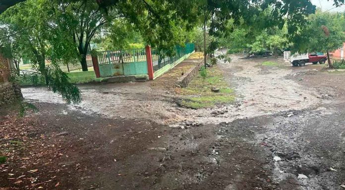Crónica | Apatzingán bajo el agua: los daños tras la tormenta