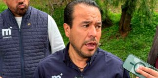 Alrededor de 26 árboles son los que se han caído durante la temporada de lluvias en Morelia
