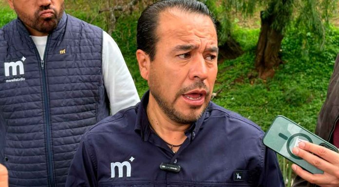 Alrededor de 26 árboles son los que se han caído durante la temporada de lluvias en Morelia