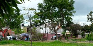 Ayuntamiento de Morelia arranca la temporada de reforestación