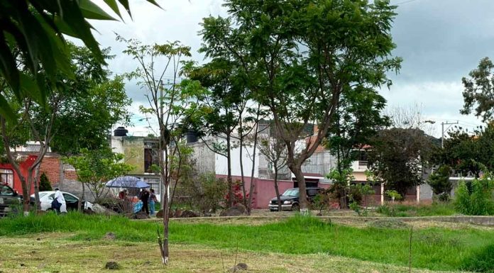 Ayuntamiento de Morelia arranca la temporada de reforestación
