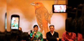 #Imagenes || Únete al Festival de Aves de Michoacán y descubre la belleza de nuestras especies: Sectur