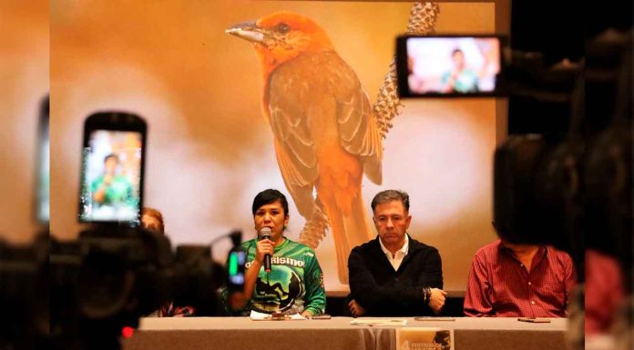 #Imagenes || Únete al Festival de Aves de Michoacán y descubre la belleza de nuestras especies: Sectur