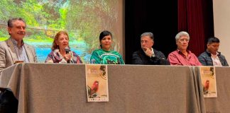 AlMomento #Galería | Ecoturismo Morelia presenta la 4ª edición del Festival de las Aves, una actividad que permite observar diversas especies endémicas de la entidad.