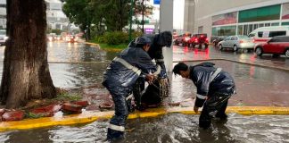 Tras lluvia en Morelia, Servicios Públicos retira basura
