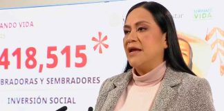 250 mil personas se han incorporado recientemente a la Pensión para Personas con Discapacidad: Ariadna Montiel