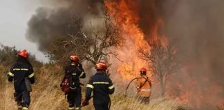 #VIDEO || Incendio forestal en Corintia, Grecia, pone en alerta a la región