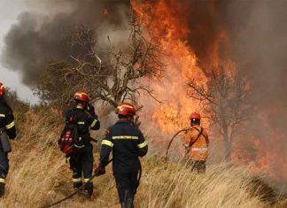 #VIDEO || Incendio forestal en Corintia, Grecia, pone en alerta a la región
