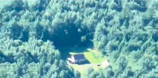 #VIDEO || Muestra casa de ensueño en medio del bosque