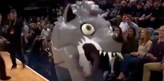 #VIDEO || Curioso show de botargas sorprende en partidos deportivos