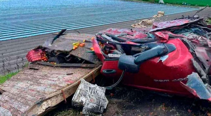 Brutal choque entre tráiler y camioneta jitomatera en Yurécuaro; hay un fallecido prensado
