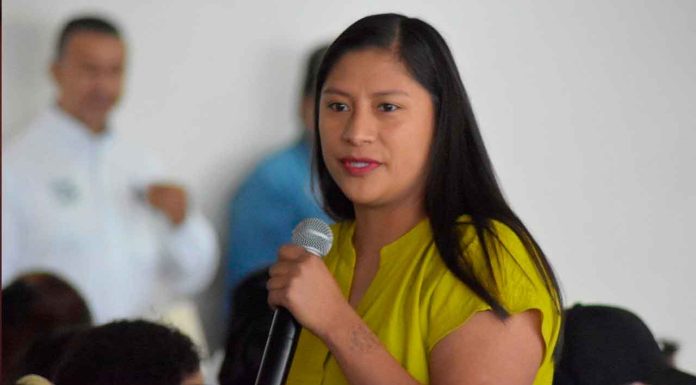 Estamos en solidaridad con el pueblo de Cherán: Celeste Ascencio