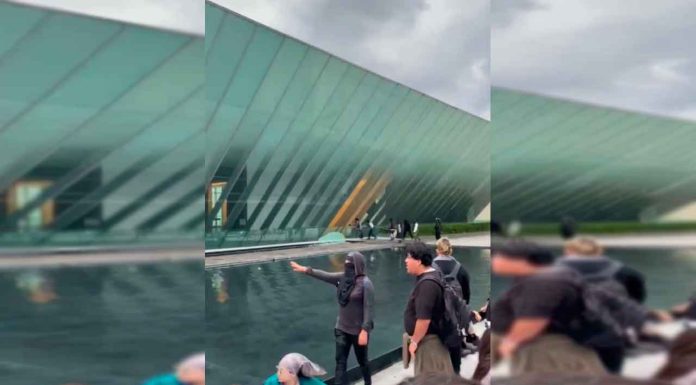 #VIDEO || Vandalizan el MUAC durante marcha contra la gentrificación en CDMX