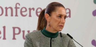 Seguimiento | Desconocen FGR y Gabinete de Seguridad si Julio César Chávez Jr. tiene vínculos con el Cartel de Sinaloa: Claudia Sheinbaum