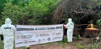 En un operativo en Culiacán, neutralizan laboratorio para la fabricación de drogas sintéticas