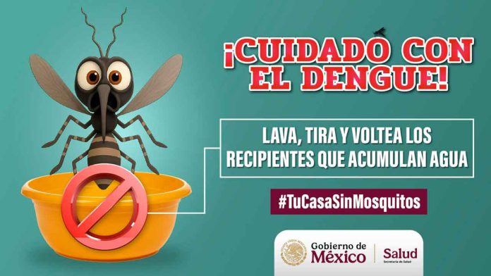 dengue