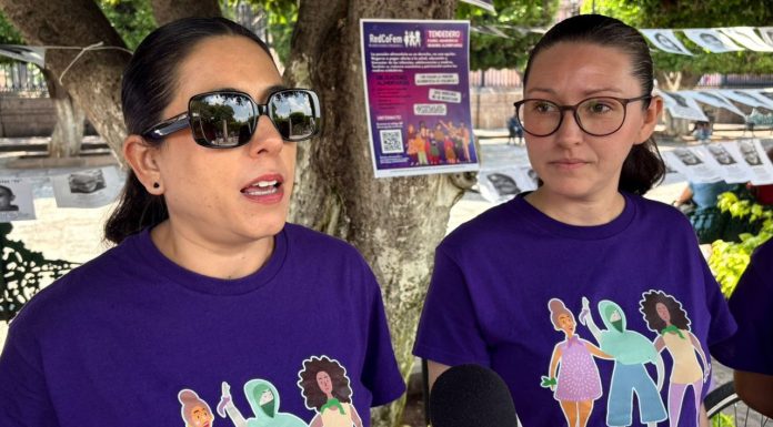 Exige RedCoFem un registro público estatal de deudores alimentarios en Michoacán