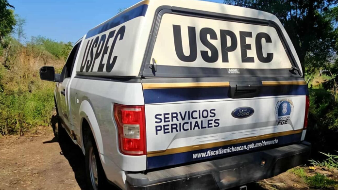 diseño-129