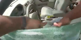 #VIDEO | Policías destruyen auto para rescatar a niños atrapados a casi 50 grados