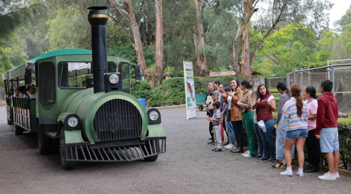 Impulsa Sedebi redes de apoyo para familias de personas sordas