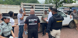 Arranca Estrategia Antiextorsión en el tianguis limonero de Apatzingán