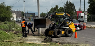 Embellecen accesos de Morelia con jornada de limpieza integral en la avenida Miguel Hidalgo