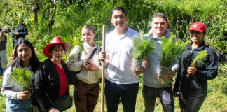 Jóvenes jalan a reforestar en Queréndaro; plantan más de 10 mil árboles