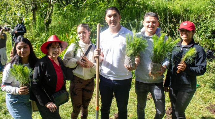 Jóvenes jalan a reforestar en Queréndaro; plantan más de 10 mil árboles