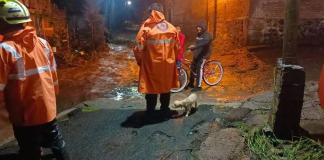 #VIDEO | Tromba provoca desbordamiento de arroyo en Ecuandureo; al menos 15 viviendas afectadas