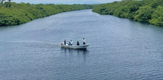#VIDEO | Concluye operativo de búsqueda, sin rastros del menor que cayó al hábitat de cocodrilos