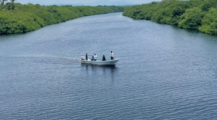 #VIDEO | Concluye operativo de búsqueda, sin rastros del menor que cayó al hábitat de cocodrilos
