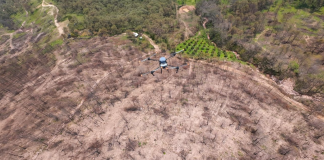 Michoacán siembra con drones 24 mil semillas de árboles en Paracho y Uruapan
