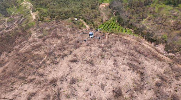 Michoacán siembra con drones 24 mil semillas de árboles en Paracho y Uruapan
