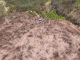 Michoacán siembra con drones 24 mil semillas de árboles en Paracho y Uruapan