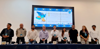 Participa Profepa en el primer Foro de Mamíferos Marinos en Michoacán